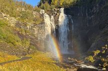 Monstraumen 3 hour fjord cruise
