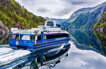 Monstraumen 3 hour fjord cruise