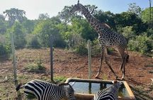Bora Bora Wildlife Park Half Day Tour in Diani