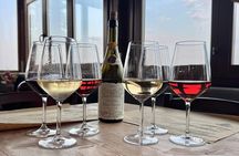 Winery Tour and Tasting in Abruzzo