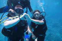 Marsa Mubarak Snorkeling Trip,2 intro dive & Transfer :Marsa Alam