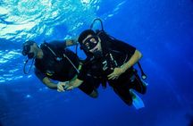 Marsa Mubarak Snorkeling Trip,2 intro dive & Transfer :Marsa Alam