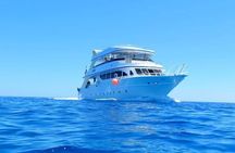 Marsa Mubarak Snorkeling Trip,2 intro dive & Transfer :Marsa Alam