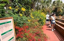 Explore Agadir Grand Tour of the City including pickup & Tickets 