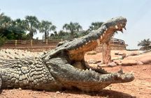 Explore Agadir Grand Tour of the City including pickup & Tickets 