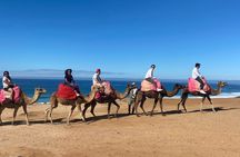 Tangier Day Trip from Cadiz Bay with Lunch Included