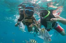 The Perfect Day in Chankanaab Park Cozumel 