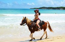 Chocaci Ranch Punta Cana Horse Monkey and Buggy