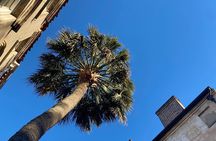 Jewish History Private Walking Tour of Charleston