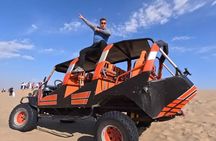 From Lima Tour to Paracas and Huacachina Oasis and Ballestas Islands 