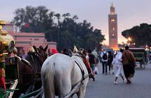 Marrakesh: One-hour trip to traditional horse-drawn carriage