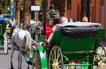 Marrakesh: One-hour trip to traditional horse-drawn carriage