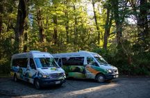 Queenstown to Te Anau via Milford Sound inc Cruise & Lunch