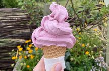 Taste Hawke's Bay - A Sweet treat food Tour