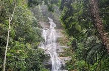 Early Morning Tour to Christ Statue and Rio Rainforest 