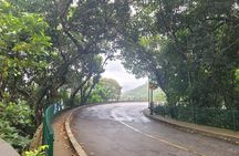 Early Morning Tour to Christ Statue and Rio Rainforest 