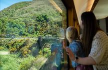 Queenstown to Dunedin Including Train, Small-Group Tour (One-Way)