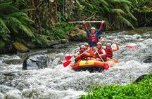 White Water Rafting Ubud Ayung River with Lunch - Best value!