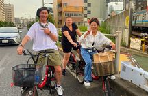 Tokyo Night E-Bike Tour with Tokyo Tower and Dolphin Show