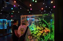 Tokyo Night E-Bike Tour with Tokyo Tower and Dolphin Show
