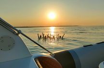 Hula Hula Island Private Speedboat Tour with Snorkeling