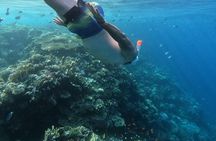 Hula Hula Island Private Speedboat Tour with Snorkeling