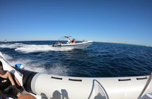 Hula Hula Island Private Speedboat Tour with Snorkeling