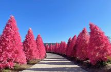 Pocheon Highlights 1 Day Tour