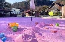 Pocheon Highlights 1 Day Tour