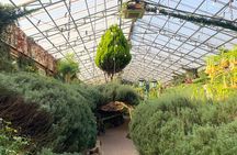 Pocheon Highlights 1 Day Tour