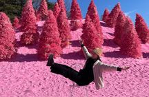 Pocheon Highlights 1 Day Tour