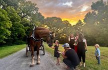 Cozy Farm Experience with Wagon Wheels and Acoustic Meal