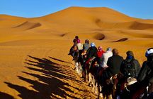 3 Days Marrakech to Merzouga Group tour Camel Ride