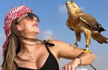 Premium Private Desert Safari From Dubai And Ras Al Khaimah