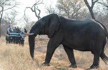 Chobe National Park Day Trip: Game Drives and River Cruise