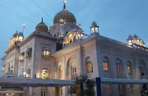 Discover Delhi in a Day: Private City Tour with Guide