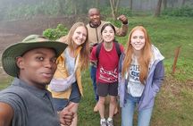 Materuni waterfalls and Coffee experience Day Trip.