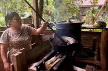 Cultural tour of the Bribri Indian with Cocoa and Falls.
