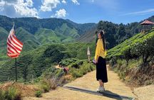 Cameron Highland Full Day Tour from KL City (Private)