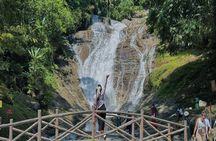 Cameron Highland Full Day Tour from KL City (Private)