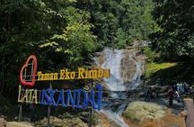 Cameron Highland Full Day Tour from KL City (Private)