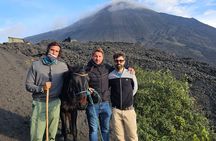 Hike to Pacaya Volcano