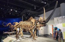 1 Day of Drumheller Dinosaurs and Badlands in Small Group Tour