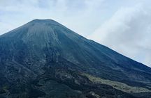 Tour to the active Pacaya Volcano.
