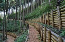 Okutama Forest Therapy Shinrin-yoku Tour with Lunch Options