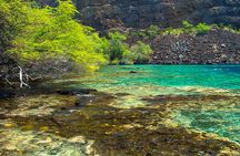 Small-Group Snorkel at Kealakekua Bay in Captain Cook, Big Island
