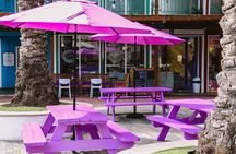 Curacao Rif Fort Painting Experience 