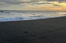 Experiencia en la Playa del Pacífico, Monterrico