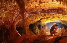 Cave, Zipline, and Cenote Tour in the Riviera Maya