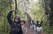 Mount Kilimanjaro Day Hike